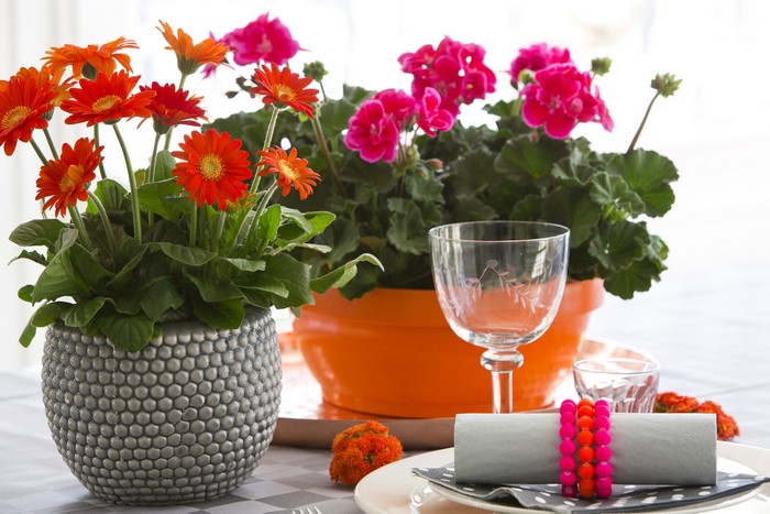 Orange Gerberas and Pink Geraniums with Stemware