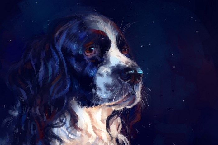 Painting of a Springer Spaniel dog's head