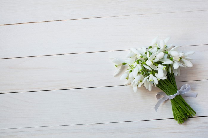Bouquet of Snowdrops on White Wood Planks