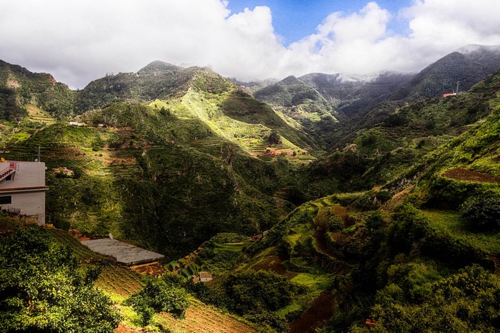 Terraced green mountains in Tenerife, Canary Islands