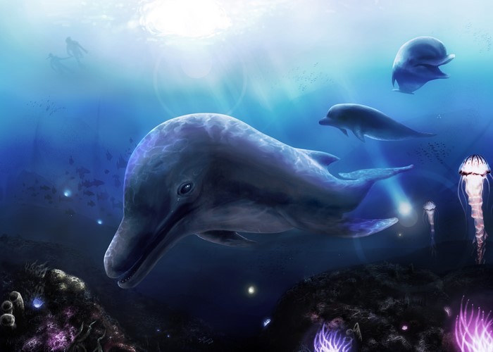 4K Underwater World with Dolphins and Jellyfish
