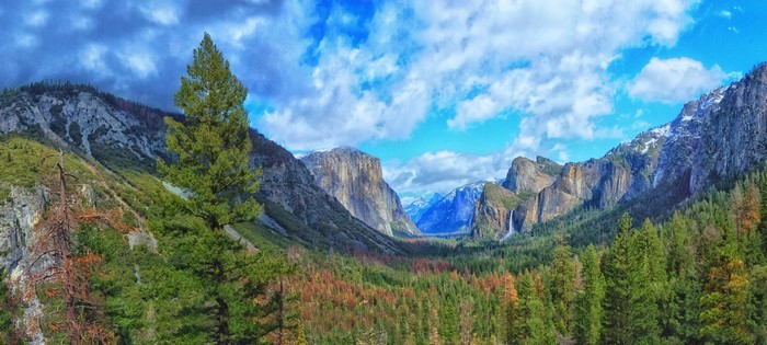 Yosemite National Park Mountains and Forests