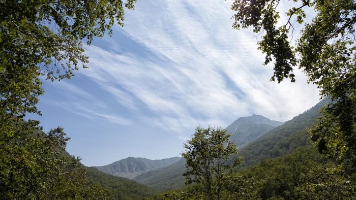 Mountains and forests of Kamchatka Peninsula, Russia
