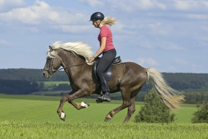 Woman riding a horse in a field