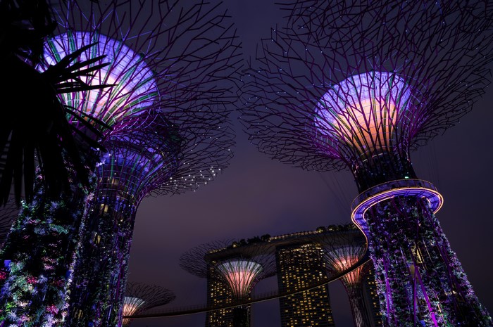 Gardens by the Bay, Singapore at Night
