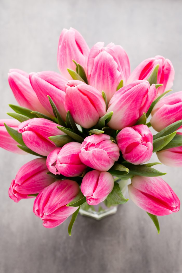 Pink tulips in a bouquet