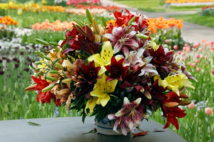 Bouquet of lilies in a garden