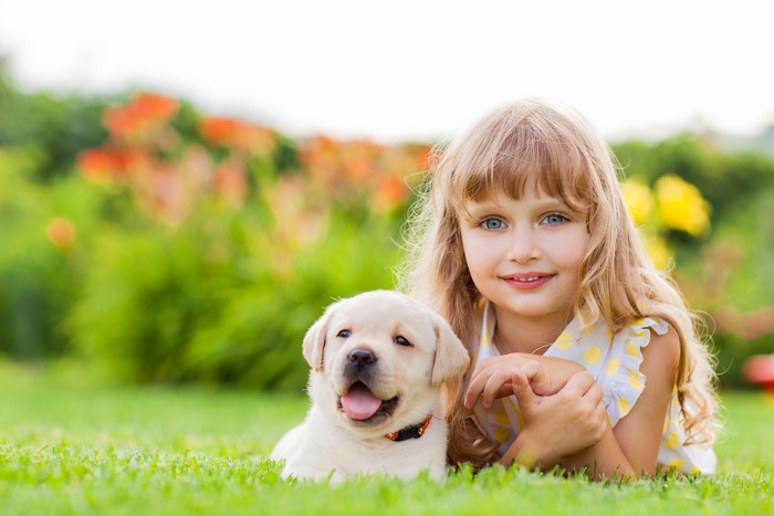 4K Image of Girl with Cute Retriever Puppy