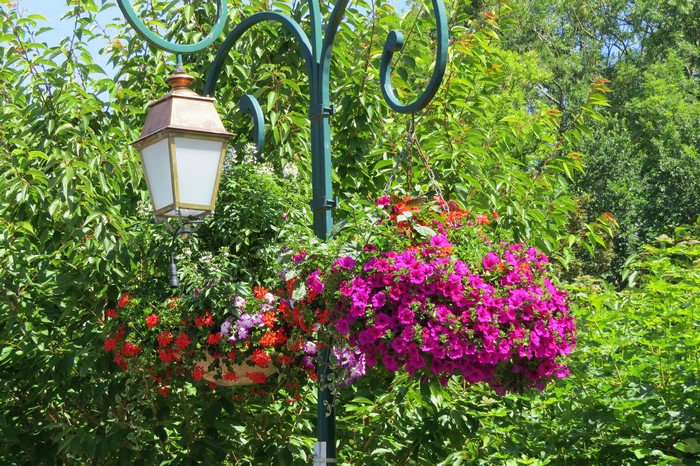 Street light with hanging flower baskets