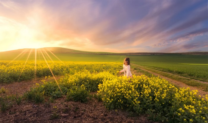 Girl in a field of yellow flowers at sunset