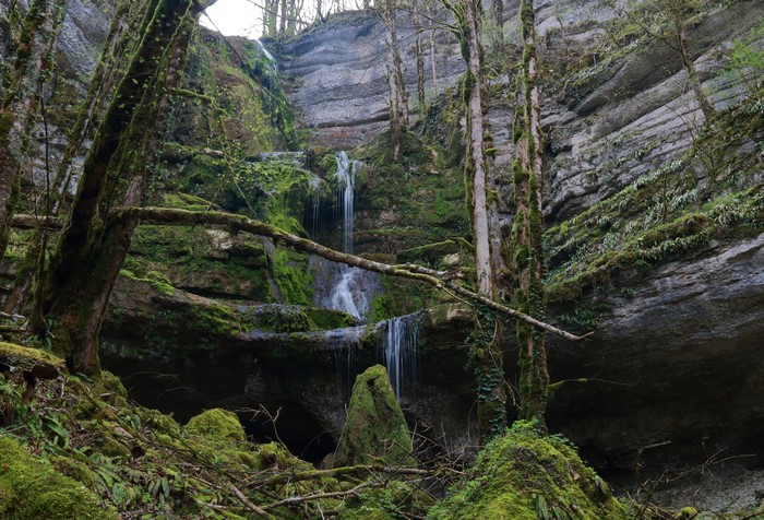 Waterfall in Mossy Forest, Mullerthal Trail, Luxembourg