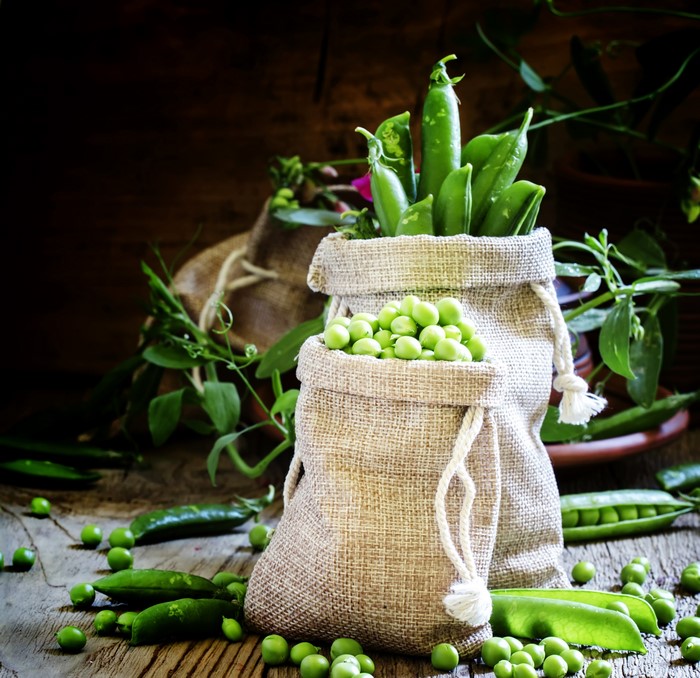 Fresh green peas in burlap sacks on a wooden table