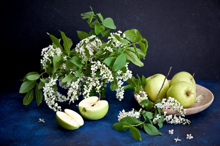 Apples and flowering branches on a dark background