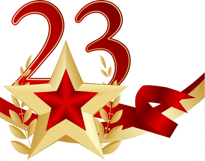 23rd Defender's Day Star Decoration