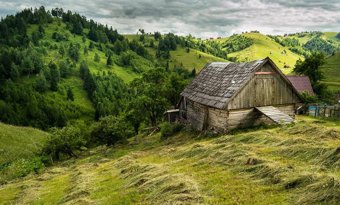 Wooden barn on a grassy hill in Brasov, Romania