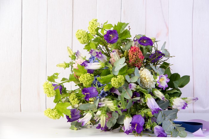 Bouquets of Campanula flowers