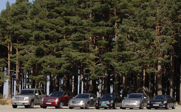 Cadillac cars parked in front of a pine forest