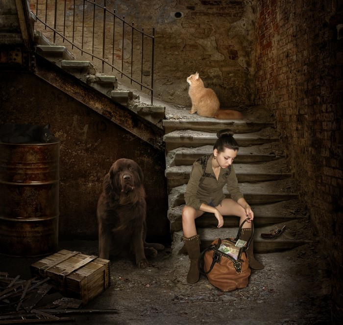Girl with dog and cats on stairs with handbag
