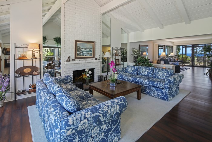 Living room with sofas and fireplace