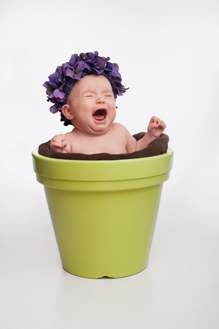 Baby in a flowerpot with purple flowers