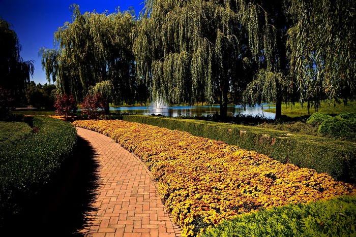 Park with weeping willow trees, flower beds, and a pond