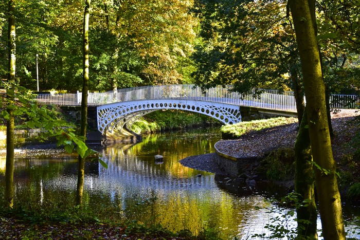 White bridge over a pond in Linn Park Glasgow, Scotland
