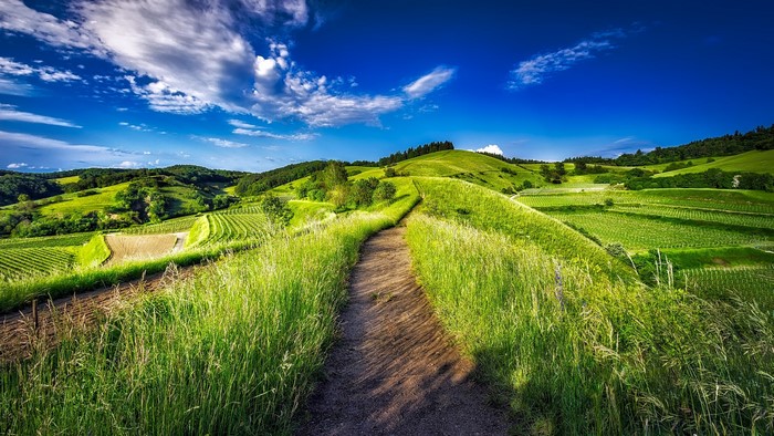 Green rolling hills with a dirt path in Germany
