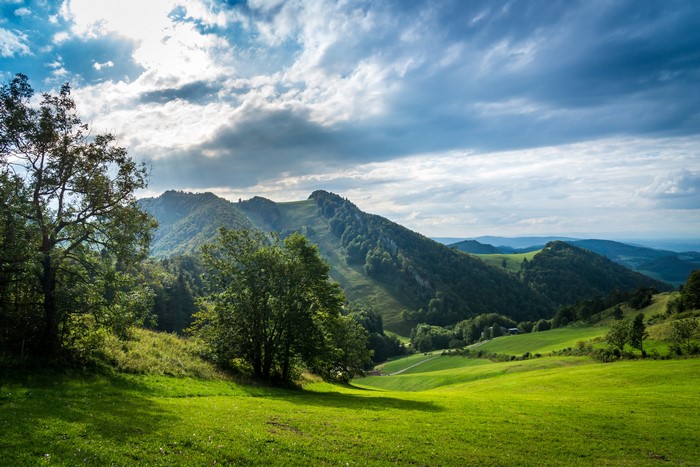4K Switzerland Mountains Grasslands Clouds Trees