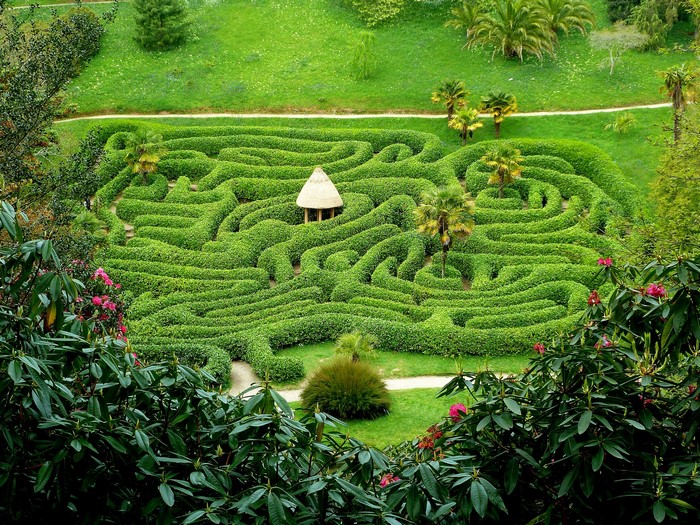Glendurgan Gardens Maze in England