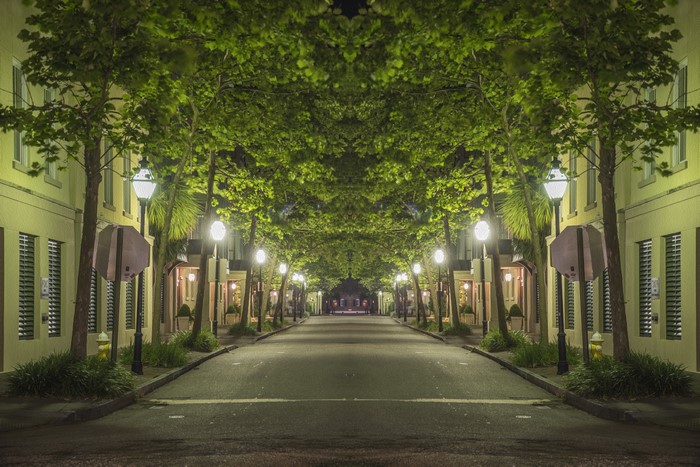 4K Night View of Charleston Avenue with Street Lights