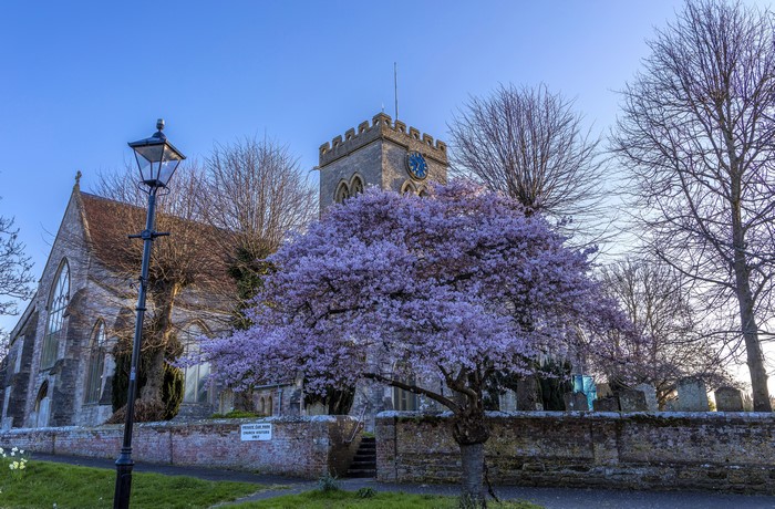 St. Paul Church Ringwood with flowering tree