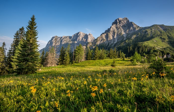 Alps Mountains Grasslands Scenery Austria