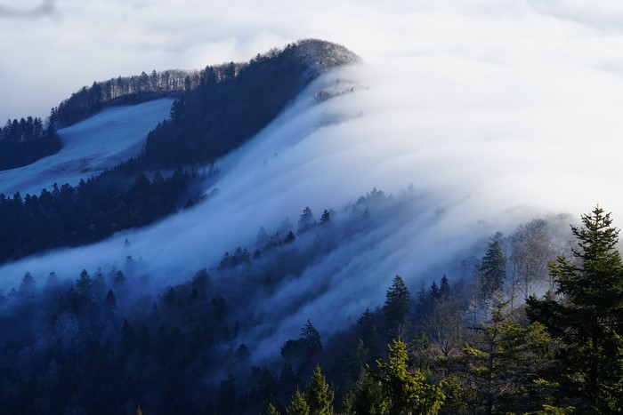 Fog rolling over forested mountains in Switzerland