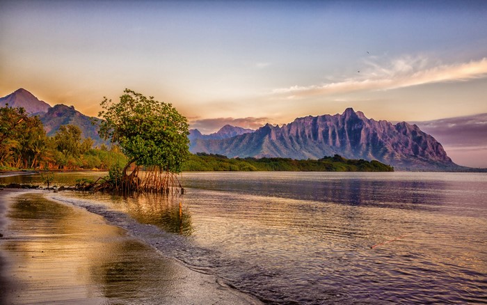 Hawaiian Coastline with Mountains at Sunset