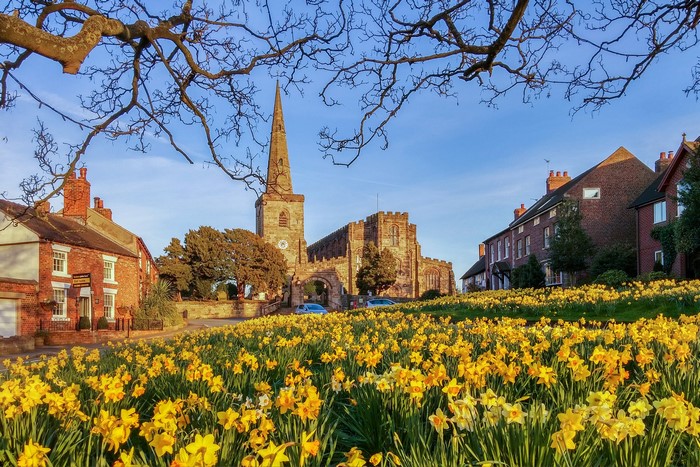 Astbury, England: Church and Daffodils in Spring