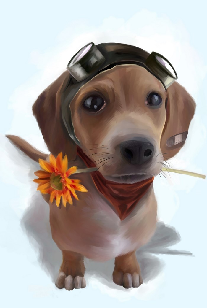 Painting of a Dachshund wearing goggles and holding a flower