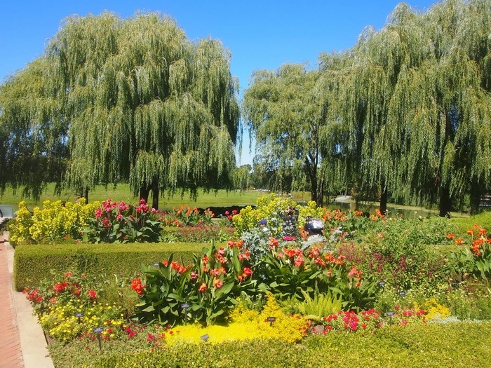 Botanic Garden with Weeping Willow Trees and Flowers