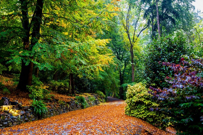 4K Alfred Nicholas Memorial Gardens Melbourne Australia