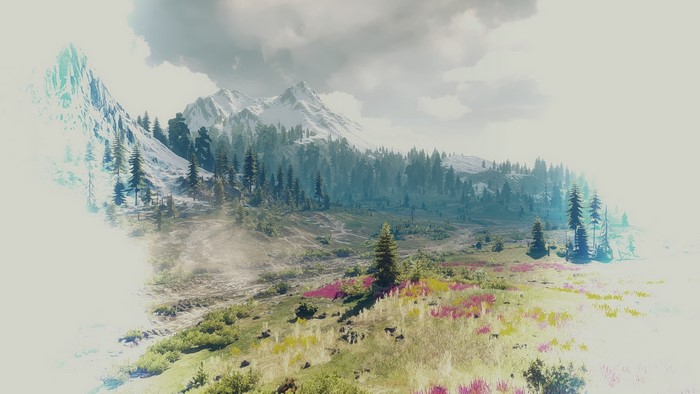 4K The Witcher 3 Wild Hunt Mountains Forest Scenery