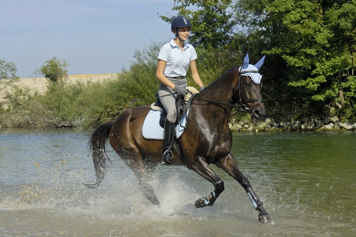 Girl riding a horse through water