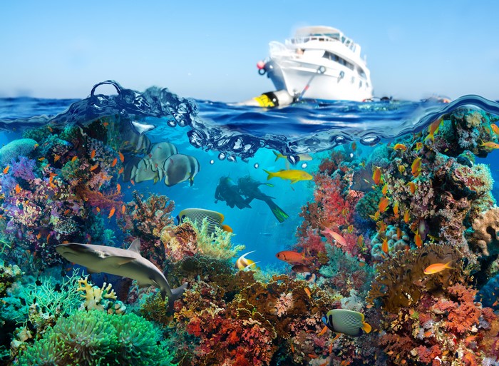 4K Underwater World with Corals, Fish, Yacht, and Divers