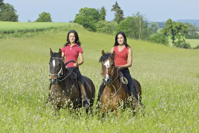 Two women riding horses in a grassy field