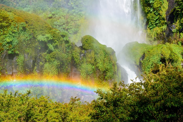 Conguillio National Park Salto El Leon waterfall, Chile