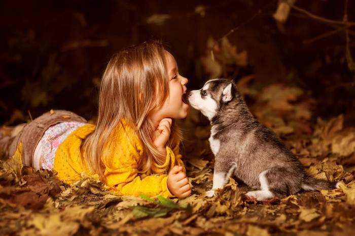 Girl kissing a husky puppy in autumn leaves