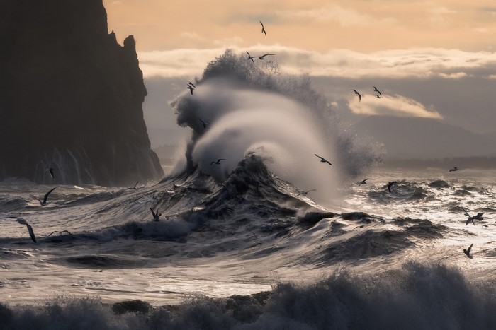 Waves crashing with seagulls flying