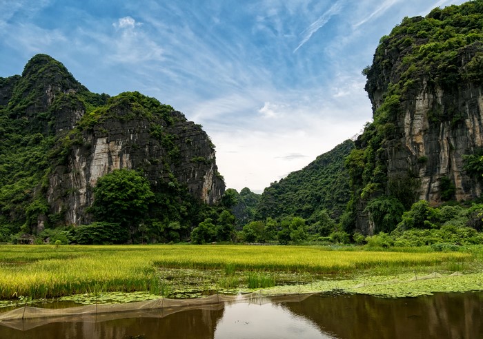 Rice paddy and karst mountains in Ninh Binh, Vietnam