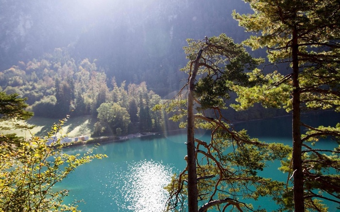 Turquoise lake surrounded by forest and trees