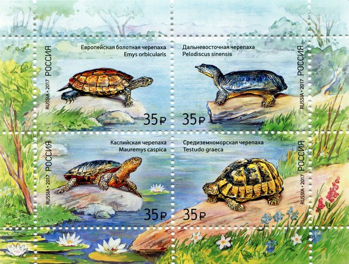 Fauna of Russia: Turtles Postage Stamps