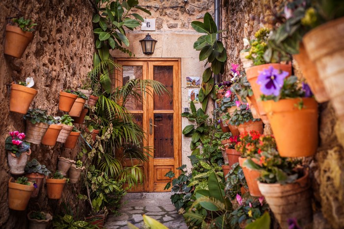 Flowerpots and a wooden door on a stone wall