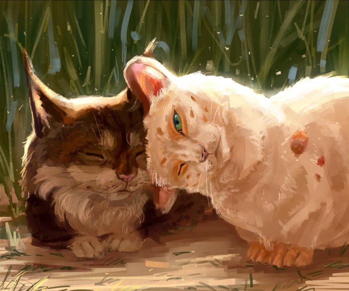 Two cats resting in grass
